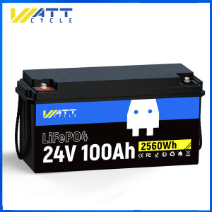 WattCycle 24V 100Ah 12V100Ah 12V300Ah/314Ah LiFePO4 Lithium Battery Max.2560Wh Built-in 100A BMS A+ Cells Low-Temperature Protection - for Home Other 24V Equipment Solar Battery