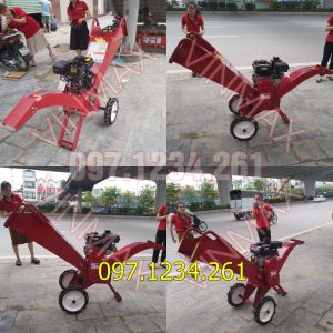Máy thái nhỏ lá phục vụ chăn nuôi MT70 tại Nghệ An
