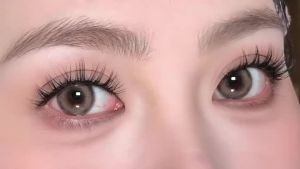 Lông Mi Giả – 5 Cặp Phong Cách Mềm Mại Tự Nhiên Có Thể Tái Sử Dụng Với Băng Trong Suốt Chiều Dài Hỗn Hợp 8-12Mm