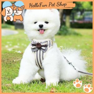 [NEW] Dây dắt thú cưng kèm yếm (Dây dắt chó mèo đi chơi đi dạo)
