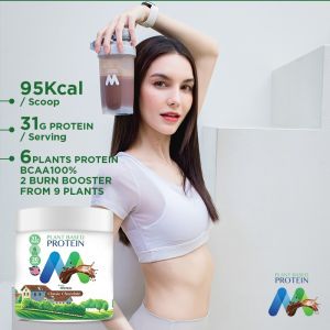 M Protein รสช็อกโกแลต