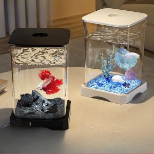 ตู้ปลา ห้องนั่งเล่น ตู้ปลาทองขนาดเล็ก โต๊ะทำงาน เดสก์ท็อปประดับ การจัดสวน การเลี้ยงปลาแบบนิเวศ