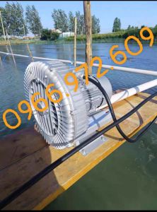 Máy con sò 750w sủi khí oxy hút chân khôngbảo hành 12tháng nhập khẩu