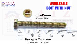 10pcs. BH 5x45mm (#8 sa yabe/tools) GOLD PLATED HEX. BOLT WITH NUT- fine thread