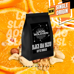 เมล็ดกาแฟคั่ว ลาว โบลาเวน คั่วอ่อน คั่วกลาง คั่วเข้ม Laos Bolaven Wash Process Arabica100% Premium Roasted Coffee (Light or Medium or Dark roast) 200g