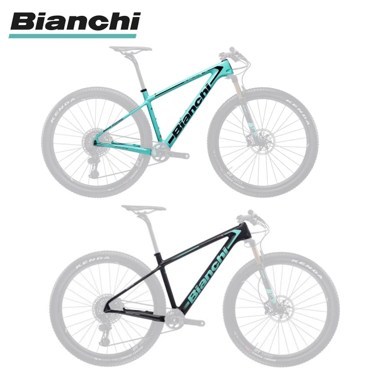 Bianchi Full Carbon HT Race XC Hardtail Mountain Bike Frame 29er MTB
