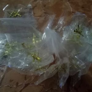 01 cặp hình gắn tuyết cổ áo bảo vệ