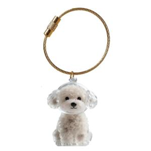 Dog Hair Memorial Box Keychain With Clear Display Box Pet Hair Storage Case For Pet Loss Remembrance
