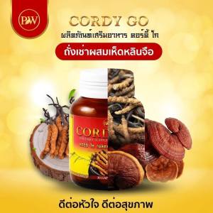 (กระปุก60เม็ด) คอร์ดี้ โกส Cordy Go ถั่งเช่า 450 mg เเละเห็ดหลินจือ ถังเช่าธิเบต ถังเช่าสีทอง