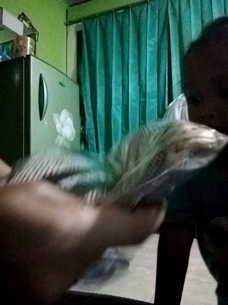 Buyer review video 3