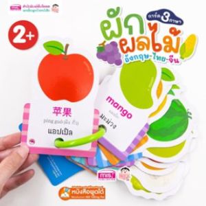 แฟลชการ์ด 3ภาษา อังกฤษ-ไทย-จีน การ์ดห่วง Flashcard การ์ดคำศัพท์ บัตรคำศัพท์ ของเล่นเสริมพัฒนาการ สัตว์น่ารู้ ผัก&ผลไม้