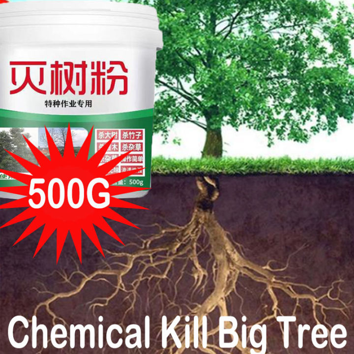 Tree killer Chemical Powder Chemical Kill Big Tree Root Killer Poison for  Tree HerbicideGrassWeeds 500g 5% Hexazone Herbicide 500G/1000G Powder  Insect Control Big Tree And Bamboo Removal - Lazada | Lazada PH