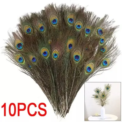 10Pcs Diy Real Natural Peacock Tail Feathers Beautiful Wedding Festival Party Bedroom Decoration