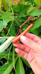 Pipa Cangklong Kayu Gali Kelor Emas Mini