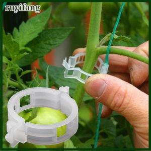 ruyifang HONG 50Pcs Trellis คลิปมะเขือเทศรองรับเชื่อมต่อพืชผักตัวยึด
