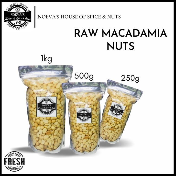 RAW MACADAMIA NUTS Lazada PH
