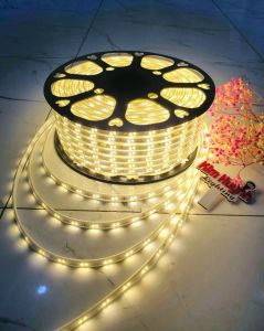 Dây đèn led đôi 2 hàng xéo bọc nhựa chống thấm trang trí quấn cây hắt trần đã kèm nguồn cắm không nháy