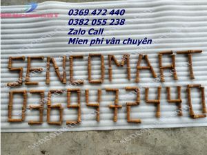 Núm cao su non siêu dẻo gắn máy vặt lông gà vịt