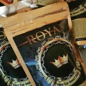 Makanan Burung Voer Royal