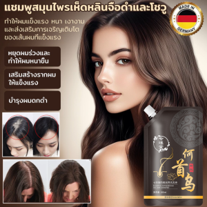 แชมพูสมุนไพรเห็ดหลินจือดำ   ป้องกันผมร่วง ลดการหลุดร่วงของเส้นผม บำรุงรากผมให้แข็งแรง เหมาะกับทุกสภาพผม