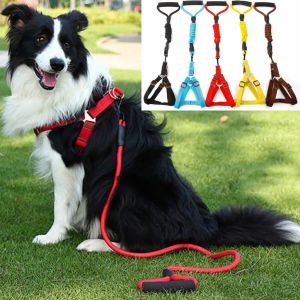 Tali Tuntun Anjing Kucing Tambang Polos Harnes Hewan Ryu Pet Harness Leash Dog Cat
