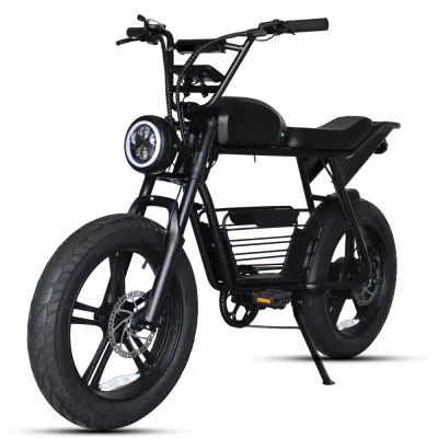 E-bike Electric Bicycle 7 Speed Shimano Gears LCD Monitor w/ Charge Indicator Speedometer Odometer & Pedal Assitant. 48V 1000W Motor 50KM Battery Life 48V 16Ah Detachable & Rechargeable Lithium Battery 20*4.0 Air Inflation Tires Front LED Head light