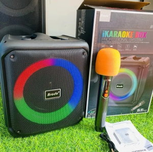 BRODU BTS-1935 Speaker Karaoke Box Professional System 6.5inches With Free Wireless Microphone