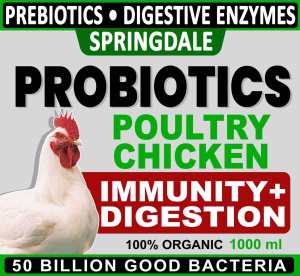 Probiotic for poultry chicken 1 liter
