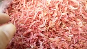 กุ้งแห้ง กุ้งฝอย อาหารทะเล กุ้งแห้งสีแดง เนื้อสดใหม่สะอาดแห้งสนิทไม่ชื้น ขนาด 50 กรัม พร้อมส่ง