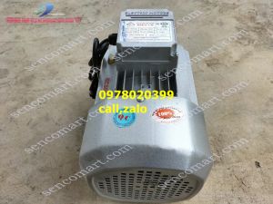Motor điện   động cơ điện 1 pha 220v công suất 1500w tua nhanh