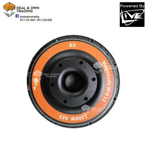 Live Magnitude Mid 12 1200 12inch 1200W 4inch European V.Coil Single Magnet Speaker
