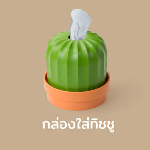 Cactiss กล่องทิชชู่ ดีไซน์ ต้นกระบองเพชร และใช้เป็นกระถางต้นไม้ Qualy (ควอลี่)