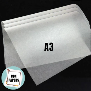 Hopia Paper A3 w/ FREE Carton Tube