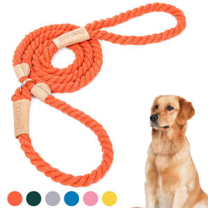 DY Loving INS Style Colorful Cotton Polyster Dog Traning Leash Explosion-proof P-Shaped Adjustable Outdoor Dog Walking Twist Leash