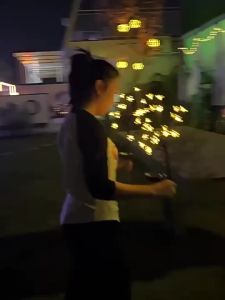 ZEME 20LED Solar Cherry Blossom Stake Lights IP65 Waterproof Outdoor Light for Yard Garden Christmas