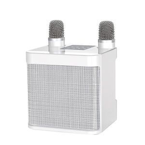 （FLASH SALE)YS-203 Bluetooth Speaker Wireless 2 Mic Bluetooth Ktv Equipment 3D Stereo Microphone