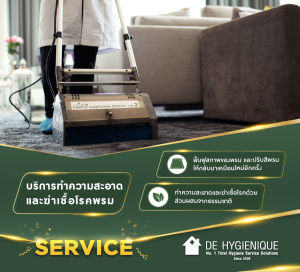 De Hygienique - Set Pillow Spray + คูปองทำความสะอาด พรม
