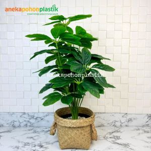 Tanaman Daun Pohon Hias Anubias X18 Semilatex Artificial Pot Dasar Hitam Plastik Cover Anyaman Purun Handle Tanaman Dekorasi Ruangan Studio Aesthetic