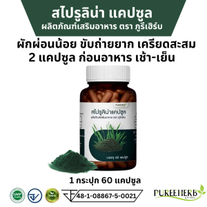 Puree Herb ภูรีเฮิร์บ สไปรูลิน่าแคปซูล เสริมภูมิ ผักผ่อนน้อย ขับถ่ายยาก เครียดสะสม 1 กระปุก 60 แคปซูล  ขับถ่าย โลหิต เผาผลาญ