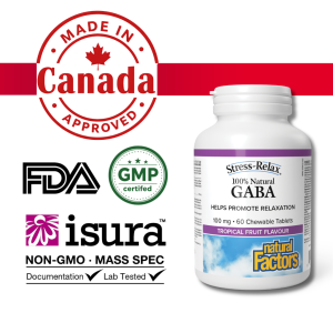 Natural Factors - Chewable Natural GABA 100 mg High Absorption Stress Relief (60 Tablets)