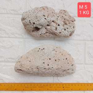 Big Coral Stone For Aquarium Filter Media Fish Tank Sea Coral Bone