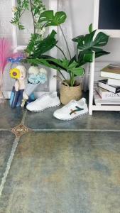 Small white shoes womens mesh breathable casual sneakers Board shoes㏇0702