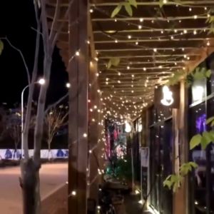 Solar String Light Waterproof PVC Rope Light for Garden Christmas Decoration Wedding Fairy Light 50/100 LED