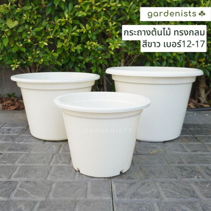 กระถางต้นไม้ทรงกลมสีขาว ขนาด 12-17 นิ้ว
