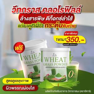 [1 กระปุก] Wheat Grass Powder วีทกราส คลอโรฟิลล์  ดีท็อกซ์ ผิวพรรณสวย