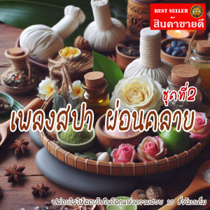 No.1 Shop เพลงสปา mp3 (ชุดที่ 2) SPA Music สำหรับร้านนวด เพลงร้านสปา ผ่อนคลาย JK789 แฟลชไดร์ฟ USb Mp3