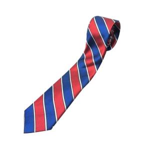 Punk Pre Tied Black Ties for Women Girls for Normal Shirt Or Blouse Pre Tied Black Neck Tie Accessories