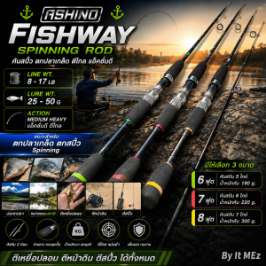 [ ของแท้ ]  คันเบ็ดตกปลา คันสปิ๋ว Ashino Fishway Line wt. 8-17 lb เหมาะสำหรับ ตกปลาเกล็ด ตกสปิ๋ว ตกปลาเกล็ด หน้าดินงานเบา บ่อตกปลา Spinning