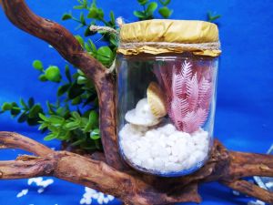 Pajangan Kaca Under The Sea - Pajangan Imitasi Dekorasi Cantik