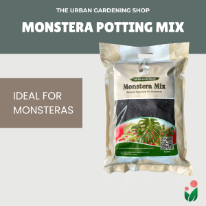 8-liter PREMIUM MONSTERA POTTING MIX Best Soil-less Mix for Monsteras and Similar Aroids